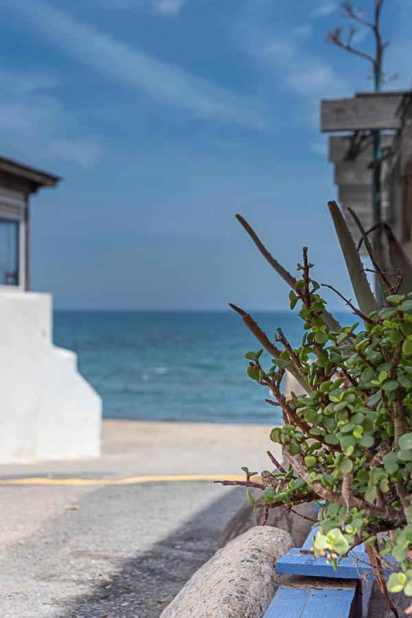 Coral Del Cabo Apartment Лас Негрес Екстериор снимка